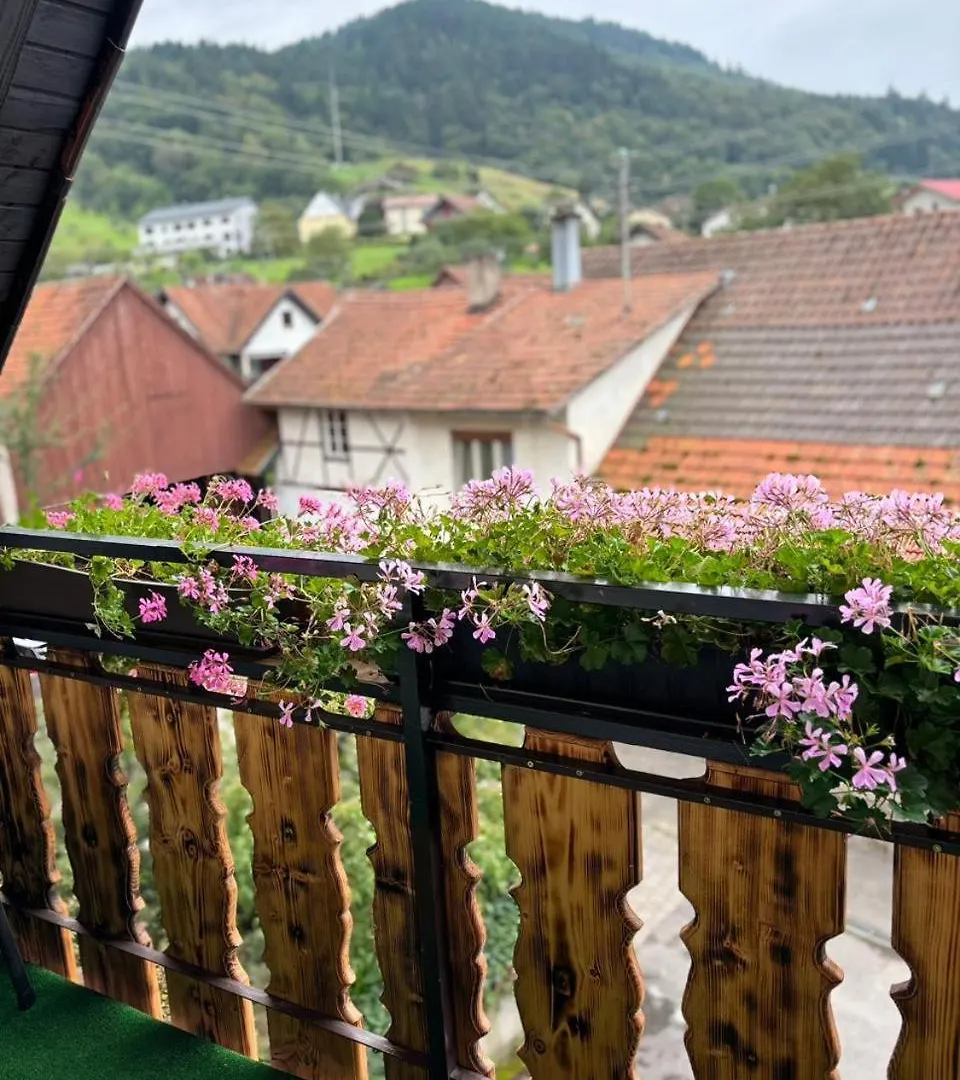 Landhotel Traube Baden-Baden Hotel